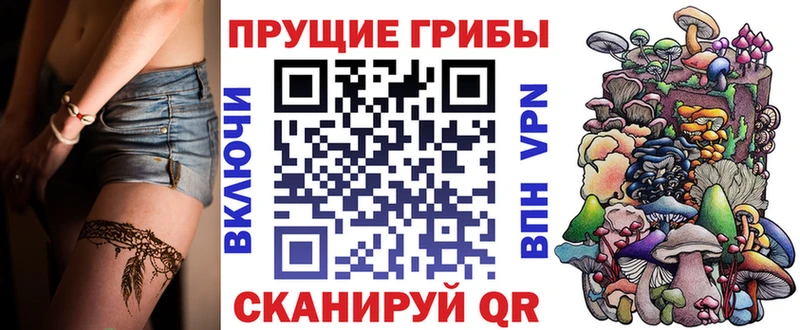 Псилоцибиновые грибы ЛСД  Каргат 